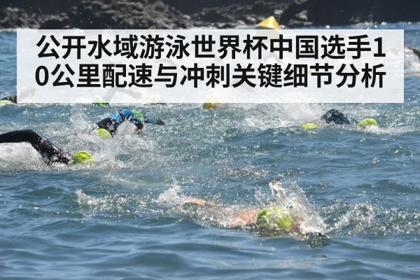 open water swimming race - kaiyun