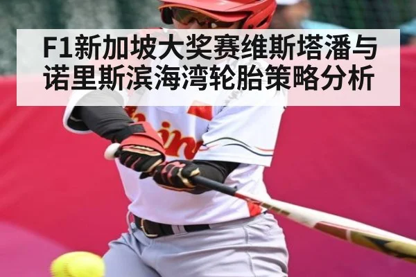 F1新加坡大奖赛维斯塔潘与诺里斯滨海湾轮胎策略分析 | kaiyun